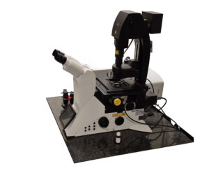 Microscopio confocale a fluorescenza Leica Stellaris 5